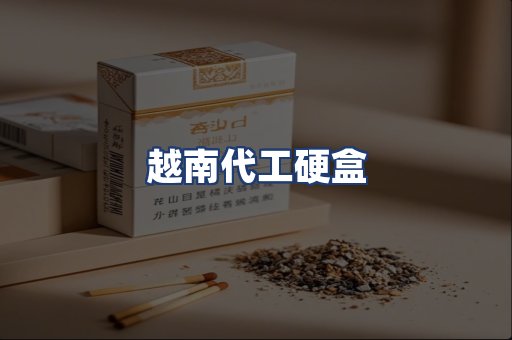 越南代工硬盒